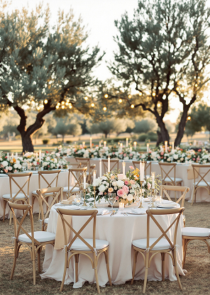 Wedding Reception